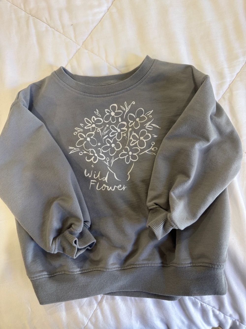 Rylee + Cru blue/grey flower sweatshirt. PERFECT condition. 18-24 months
